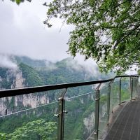 評論圖片 7