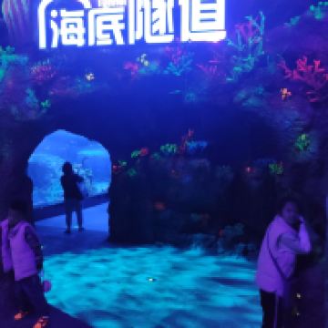評論圖片 4