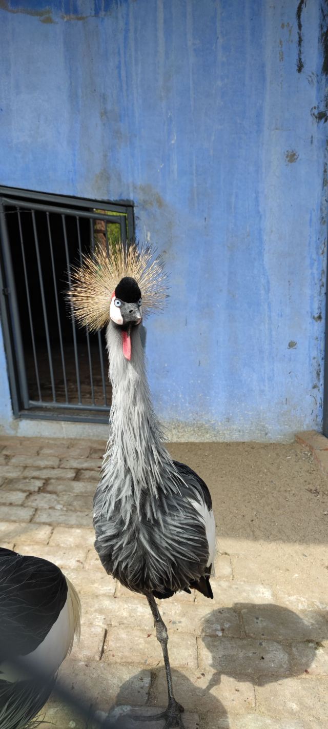 Beifang Forest Zoo