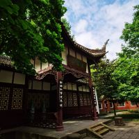 評論圖片 2