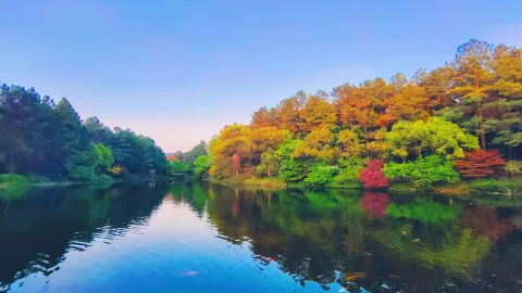 Zhong Nan Bai Cao Yuan attraction in Anji