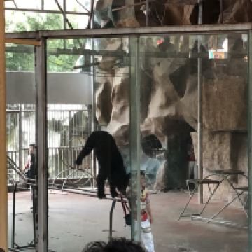 評論圖片 1
