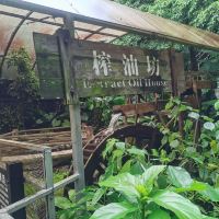 評論圖片 3
