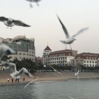 評論圖片 2