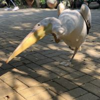 評論圖片 7