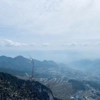 評論圖片 7