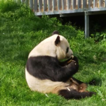 評論圖片 5