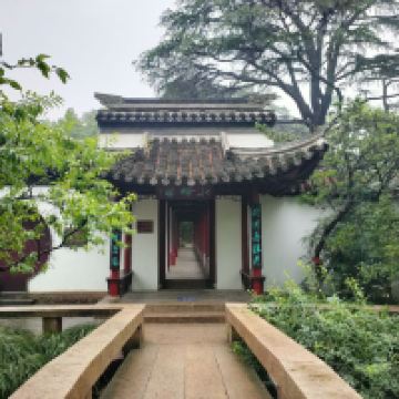 評論圖片 5
