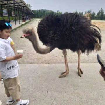 評論圖片 1