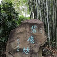 評論圖片 8
