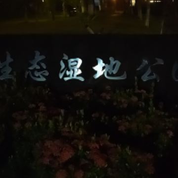 評論圖片 5
