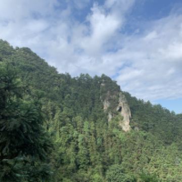 評論圖片 2
