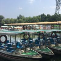 評論圖片 4
