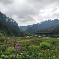 評論圖片 4