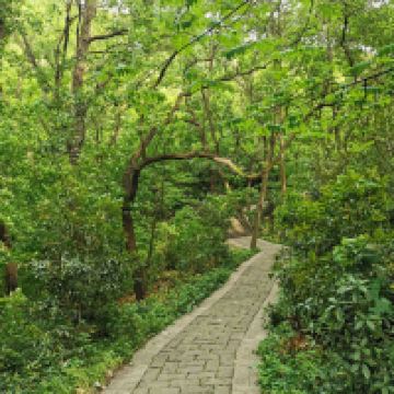 評論圖片 5