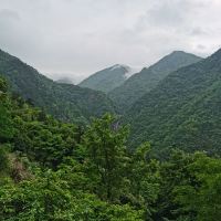 評論圖片 2