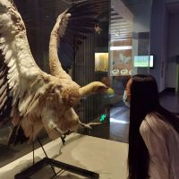 評論圖片 6