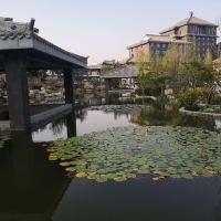 評論圖片 5