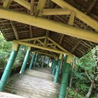 評論圖片 7