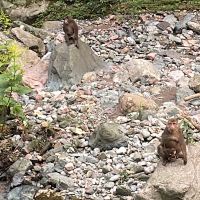 評論圖片 2