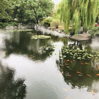評論圖片 4