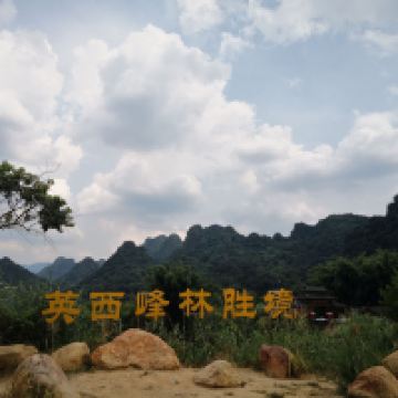 評論圖片 6