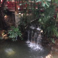 評論圖片 1