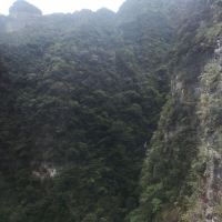 評論圖片 1
