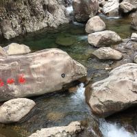 評論圖片 6
