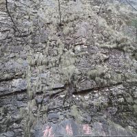 評論圖片 9