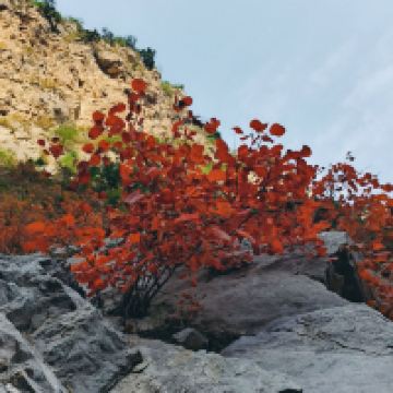 評論圖片 2