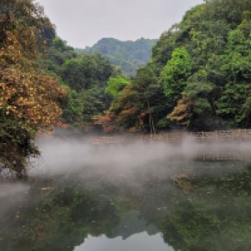 評論圖片 4