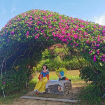 評論圖片 6