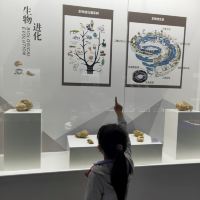 評論圖片 4