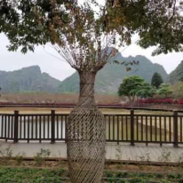 評論圖片 5