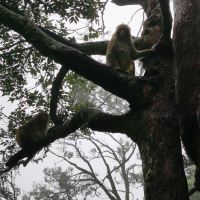 評論圖片 2