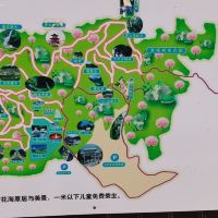 評論圖片 4