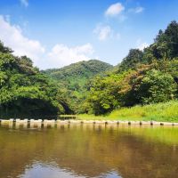 評論圖片 4