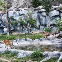 評論圖片 3