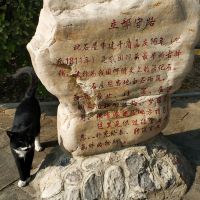評論圖片 6