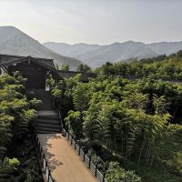評論圖片 2