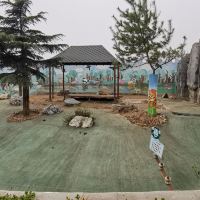 評論圖片 5