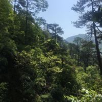 評論圖片 3