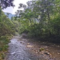 評論圖片 6