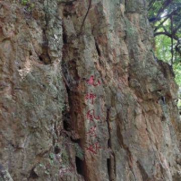 評論圖片 2