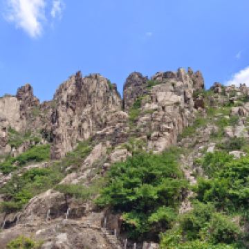 評論圖片 6