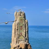 評論圖片 1