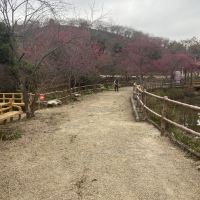 評論圖片 1
