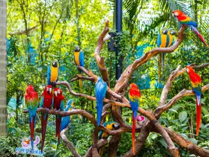 長隆飛鳥樂園