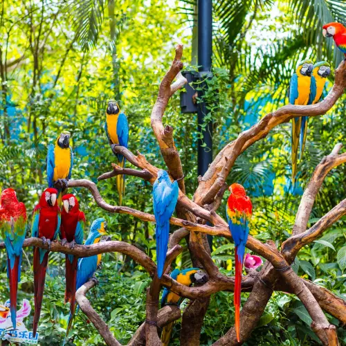 Chimelong Birds Park